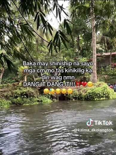 Understanding the Dang It Meme and Its Meaning