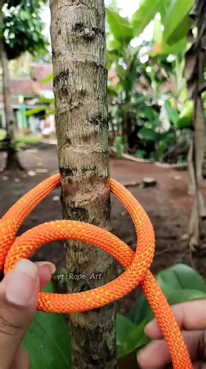 Mastering Fun Knot Variations for Outdoor Survival