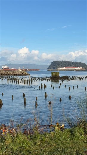 Your daily dose of Oregon Coast therapy from the Astoria, Oregon Riverwalk. ❤️ Salty Raven is open 11-5 everyday! Astoria * Cannon Beach * Tillamook Saltyraven.net #astoria #astoriaoregon #astoriariverwalk #birdwatching #oregoncoast #oregon #bestoforegoncoast #bestoforegon #westcoast #pnw #oregonartist #natureartist #saltyraven #saltyravencannonbeach #saltyravenastoria | Salty Raven Astoria