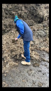 2.4K views | What’s your grass silage quality like? Pioneer Seeds - Australia | Notman Pasture Seeds | Facebook