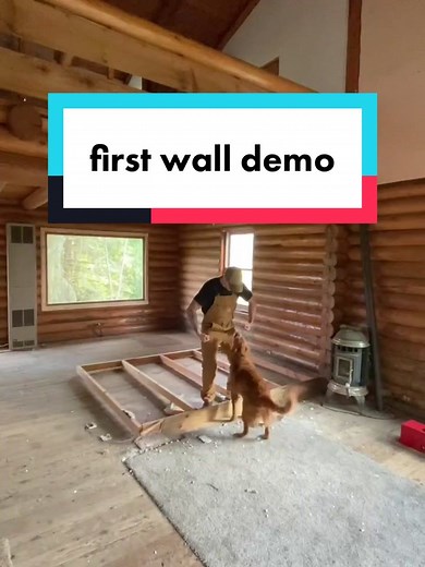 #homerenovation #diy #construction #workingdogs #logcabin #renovation #cabin #farm #homereno