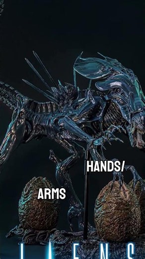 $600 ALIEN QUEEN FIGURE IS MASSIVE! 😱 | #hottoys #alien #actionfigures #toys #collection