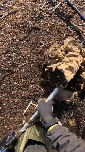 180K views · 1.6K reactions | The best metal detector for depth The best detector for finding valu | Metal Detecting | Facebook