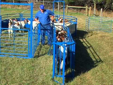 Sydell's #992 Working System