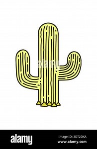 changing color animation of tattoo in traditional style cactus Stock Video Footage - Alamy
