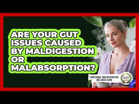 Are Your Gut Issues Caused By Maldigestion Or Malabsorption?