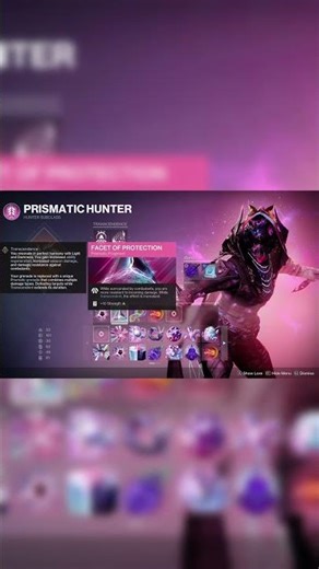 Meta Hunter Build for