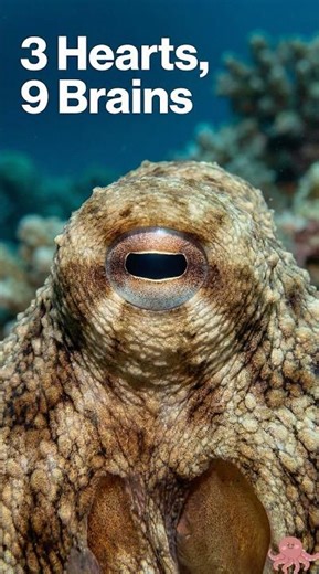 Aliens Aren’t In Space...