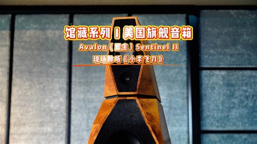 美国 旗舰音箱 Avalon（盟主）Sentinel II现场聆听唐成杨《情若真》曲目：（小李飞刀）