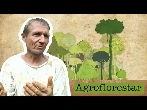 Agrofloresta com Ernst Gotsch