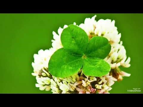 おはようクレヨン /with 歌詞