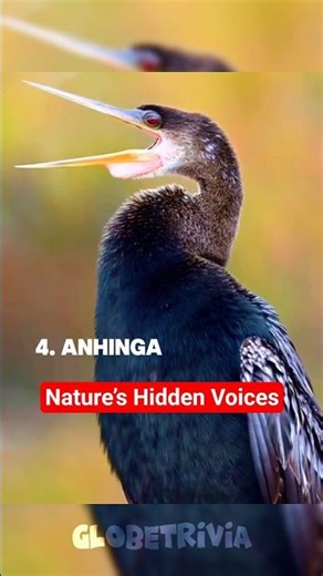 Hidden Science of Bird Sounds #amazingworldfacts #facts #uniqueworldfacts #globetrivia