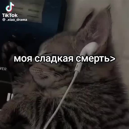 Відео користувача аноним (@sonna743) з композицією «Tricky Disco - Sunny 💫»