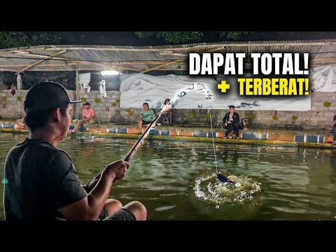Awalnya Cuma dapat 2 Ekor, Endingnya Total Terbanyak + Terberat Kedua!