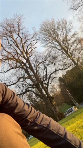 Sweet itch varies hugely between horses — in severity, timing, response to management, and impact on welfare. That’s why decisions about ongoing management and possible medical support don’t lend themselves to general advice. 📞To support owners earlier in the season, we’re trialling Sweet Itch Planning telephone consultations on Thursday afternoons. These are short, individual veterinary calls to: 🩺 Review what happened last season 🐴 Discuss current management strategies 💉Consider whether ad