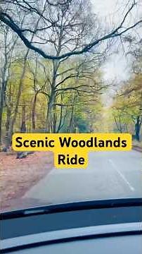 Buckinghamshire Countryside Drive 🌿 Through the Woods