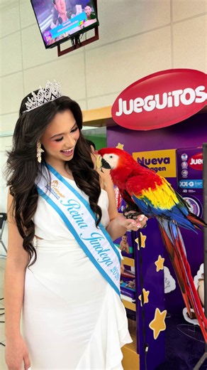 Guacamaya en Nicaragua: belleza y curiosidades