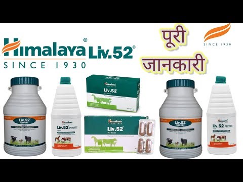 Himalaya liv.52 details in Hindi||himalaya लीवर टॉनिक पूरी जानकारी