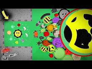 Florr.io - Top 5 STRONGEST Florr Players..