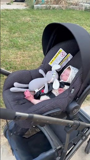 Uppababy Stroller is Perfect For Reborn Baby & Toddler Dolls!