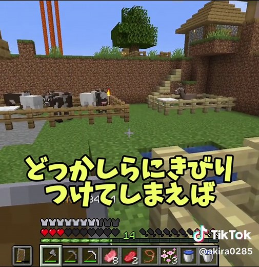 アレイをリードで繋ぐ方法と保管の正解