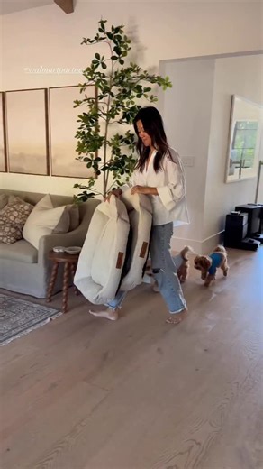 #walmartpartner I am absolutely loving these dog beds and shirts from Walmart for the boys! They match our home decor so nicely and they must be super comfortable because they lay in them all day. Love that they’re washable and SO affordable. Cute and under 20 bucks! Yes please! Walmart has been my go to for all things pet lately! They have such a wide assortment for our fur babies and at great prices! #walmartpartner @walmart #walmart | LHK Interiors - Live Laugh Love Decorate