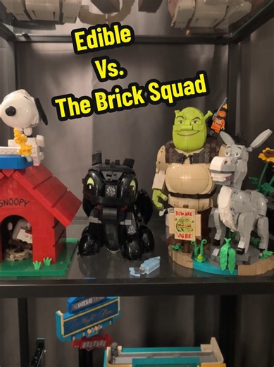 When the edible hits and you’re locked in the brick museum with the ultimate crossover squad... Shrek, Donkey, Puss in Boots, Snoopy, and Toothless are definitely staring back. 🧱🥴 Which one of these brick builds would you want as your spiritual guide? Let me know in the comments! 👇 #BrickMuseum #NightAtTheMuseum #BrickBuilding #LegoTikTok #afol