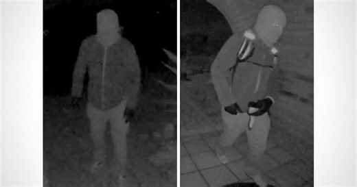 No new leads in Guthrie search: Officials