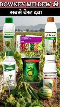 Best Fungicide For Downey Mildew || #fungicide #downymildew