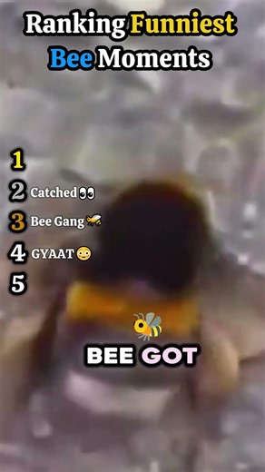 Ranking Funniest Bee Moments