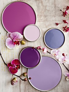 10 of the Prettiest Purple Paint Colors to Upgrade Any Room