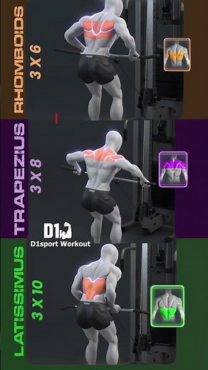 Cable Row Masterclass | Build V-Taper Back Fast #fitness