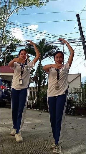 Basic step (PATHFIT 3)