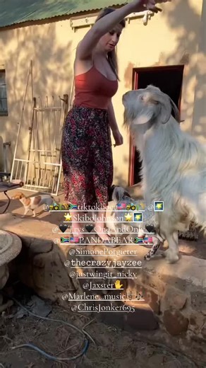 Competition Rules: How to Maximize Your Entries