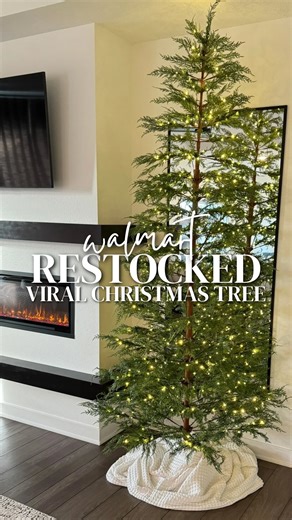 366 reactions · 24 shares | Walmart just restocked the viral...