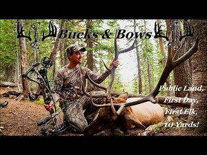 Bow Hunting Bull Elk In Colorado! Public Land, First Day, First Elk, 10 Yards!