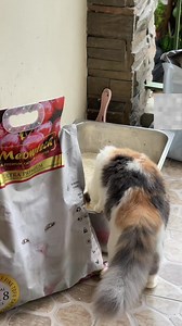 "I’ve been a Meowtech user for years — and still, nothing beats it! 😻 Meowtech Ultra Premium Cat Litter is my holy grail: super absorbent, no amoy, and easy to clean — even with two cats at home! If you’re a furmom or furdad na sawa na sa amoy at kalat, this one’s for you. 🟡 Check my yellow basket for the exact litter we’ve been using — legit worth it every time." 📷 Furmom Joy | Meowtech