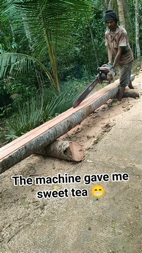 Still the tree splitting machine edition #fyp #split tree easily | Butiran Debu