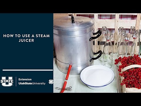 How to Use a Steam Juicer