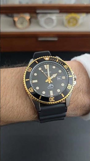 Casio "Duro", MDV106G-1AV, 200M Diver's Watch | On the Wrist