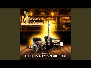 Macario Romero (Acordeon) (En vivo)