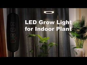 The Best Grow Light For Your Indoor Plants! Full Spectrum, Dimmable Led With Automatic Timer.