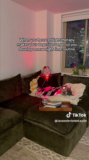 Red Light Therapy Benefits for Dogs Explained