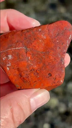 Red Jasper with Metallic Hematite Band | Rockhounding Dosewallips River, Washington