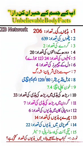 Unbelievable Body Facts You Didn't Know | Amazing Human Body Secrets!"