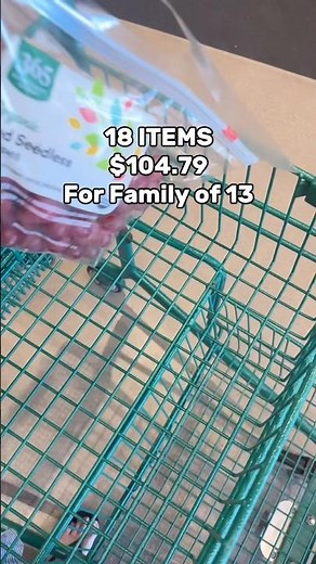 $104.79 at Whole Foods for Our Family of 13 😳