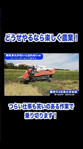 お米作り総集編 #農業 #兼業農家 #お米作り #トラクター #コンバイン