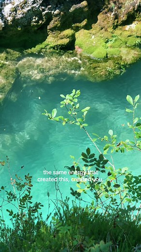 Explore Serene Herbs Soursop Bitters Benefits