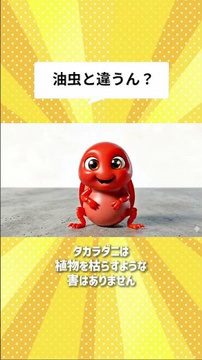 赤い虫「タカラダニ」は人間に害があるの？