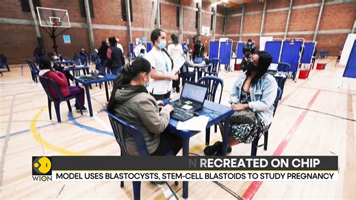 China-led scientists create world's first mini-womb on a chip Embryo implantation recreated on a chip 3D chip mimics early human pregnancy Diksha Bisla brings you more details | WION